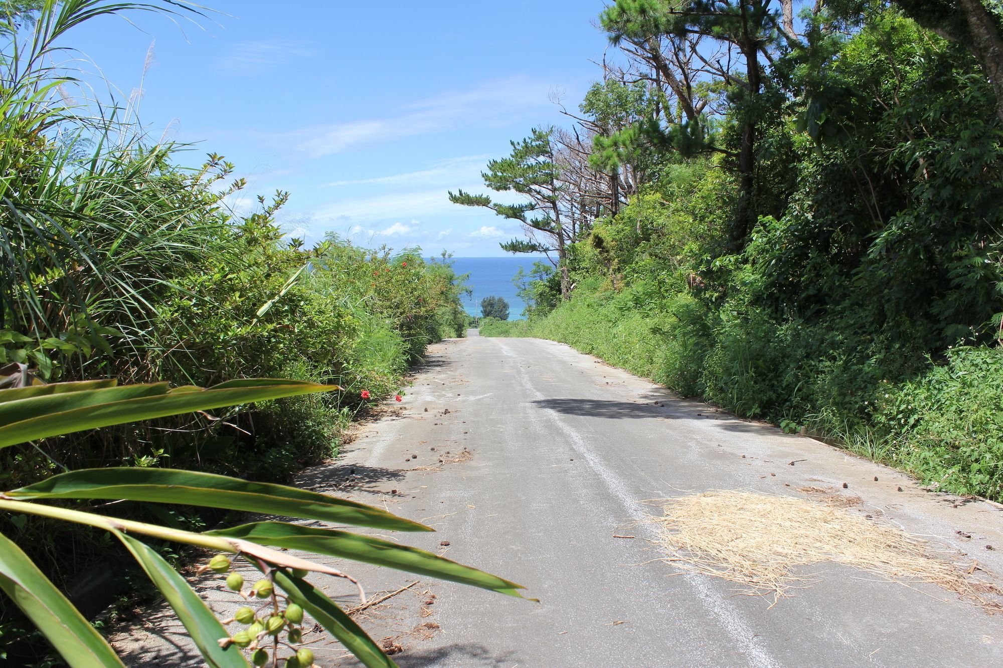 Panorama Ocean View Cottage Motobu Exterior photo
